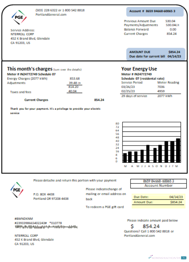Download Oregon PGE electricity utility business bill, SCR Photoshop template